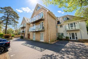 Photo 10- click for photo gallery